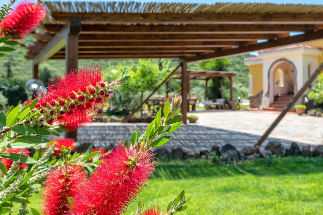 Villa Saige , Piscina Ad Uso Esclusivo, Con Idromassaggio Alghero Exterior photo